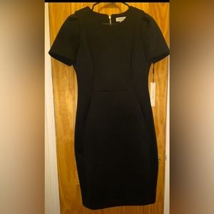 CALVIN KLEIN- Tulip-Sleeve Sheath Dress